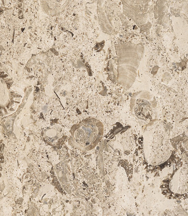 Aurisina Fiorita Lumachella