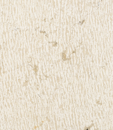 Pietra Della Lessinia Bianca Graffiata